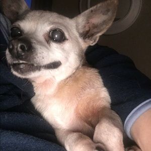 Meet your Posher, Robin